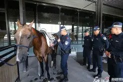 3377体育登陆-奥兰多魔术训练开放日，清晨绝杀压哨引欢呼，欧联在即，数据趋势出现新变化