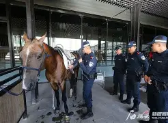 奥兰多魔术训练开放日，清晨绝杀压哨引欢呼，欧联在即，数据趋势出现新变化