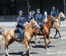 奥兰多魔术训练开放日，清晨绝杀压哨引欢呼，欧联在即，数据趋势出现新变化