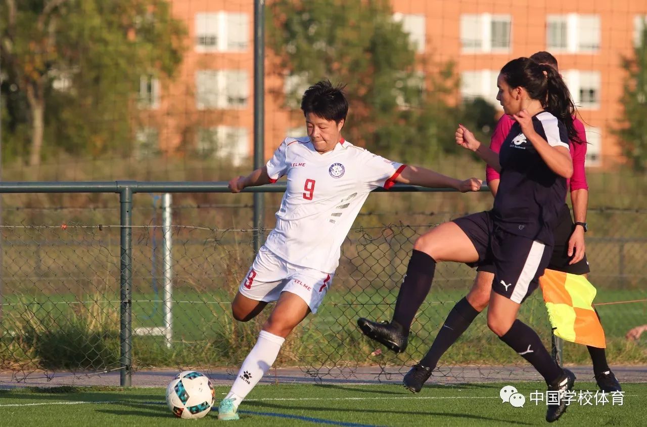 擎天柱大战震荡波视频
